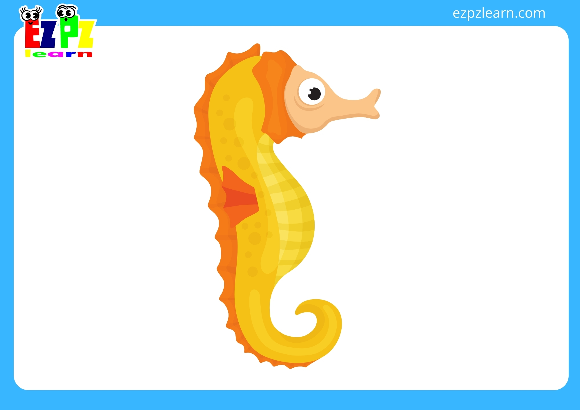 seahorse